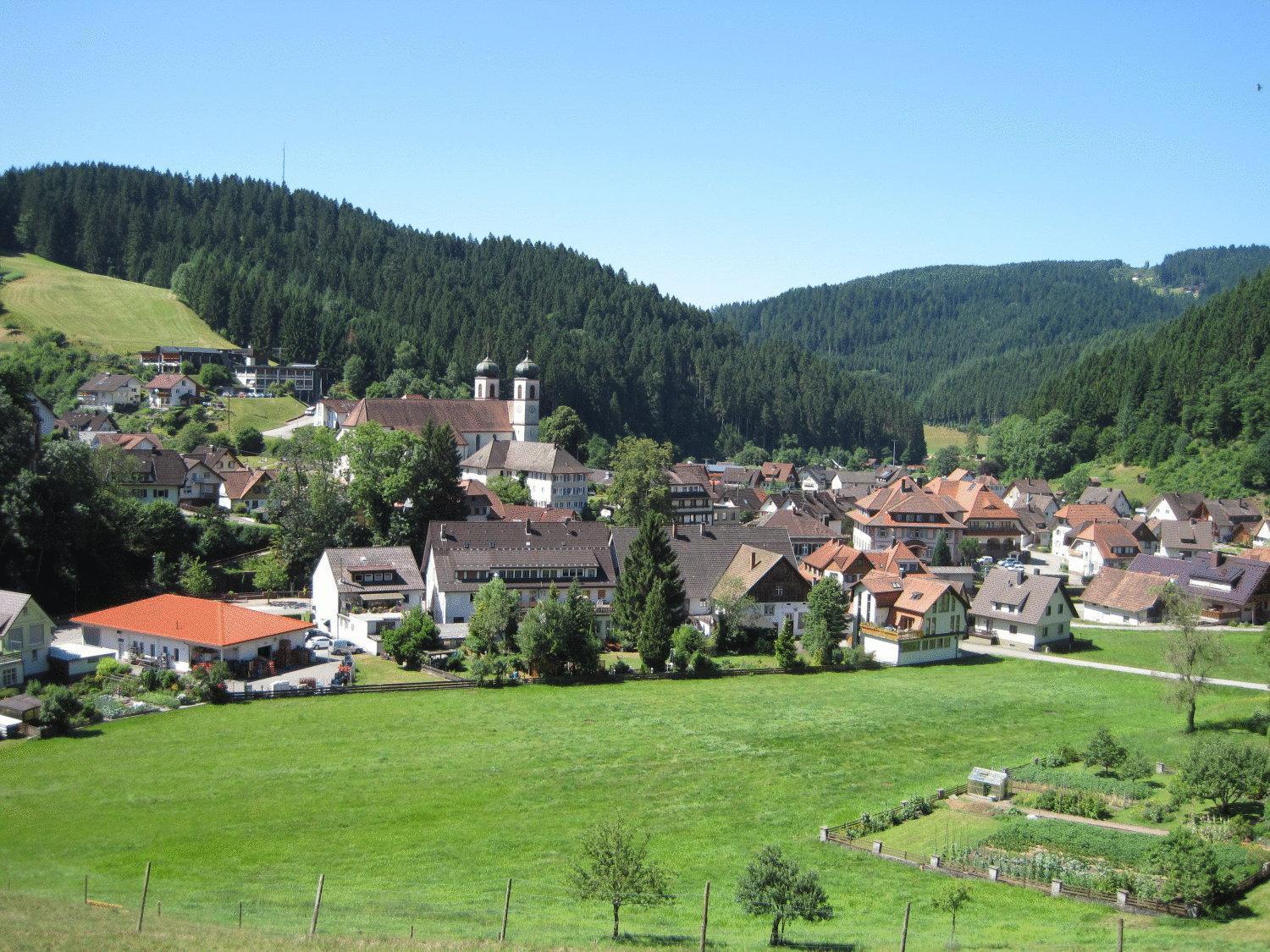 Hotel Restaurant Albans Sonne Bad Rippoldsau-Schapbach Экстерьер фото