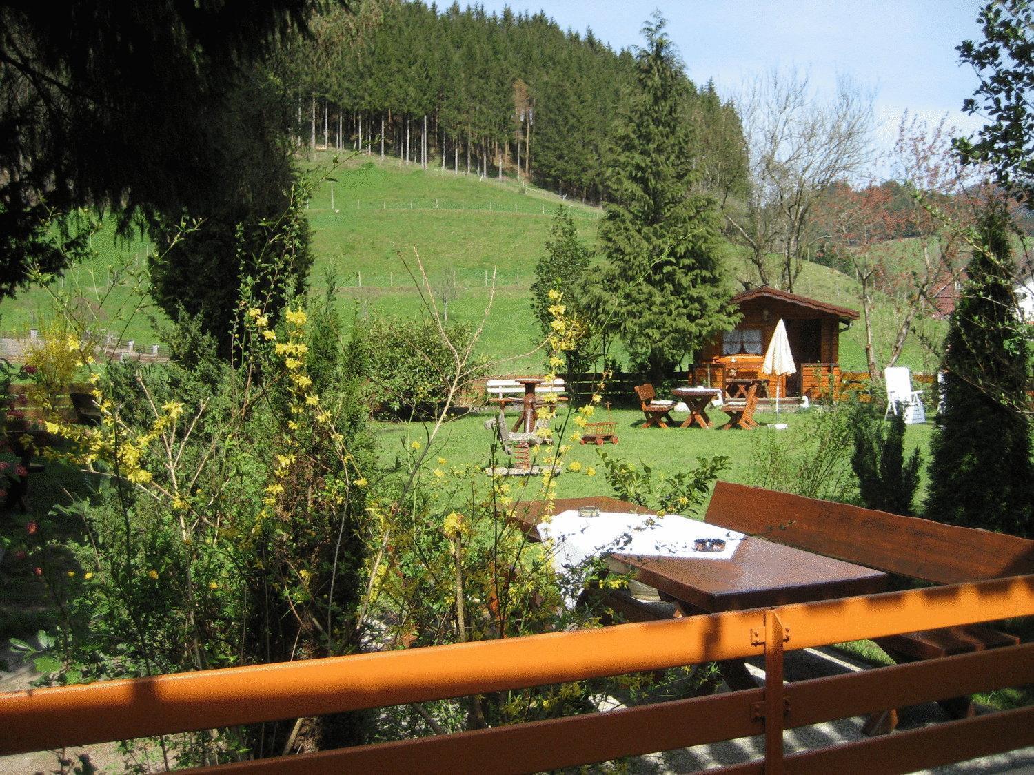 Hotel Restaurant Albans Sonne Bad Rippoldsau-Schapbach Экстерьер фото